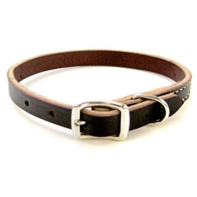 Coastal Pet Circle T Latigo Leather Town Collars