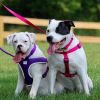 Coastal Pet Comfort Wrap Dog Adjustable Harness Neon Pink