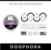 Dogphora Soothing Paw Balm for Dogs