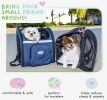 Petique Backpacker Pet Carrier Coral