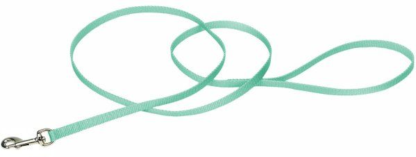 Coastal Pet Single-ply Teal Nylon Dog Lead Four Feet Long (size: 4 feet x 3/8"W)