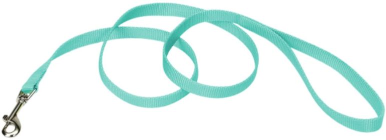 Coastal Pet Single-ply Teal Nylon Dog Lead Six Feet Long (size: 6 feet x 5/8"W)