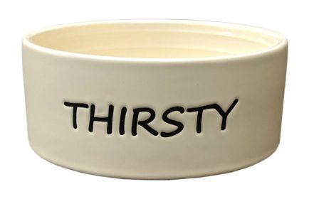 Spot Thirsty Dog Dish Water Bowl (size: Small - 1 count)