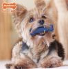 Nylabone Dental Chew Bone Chicken Flavor Regular